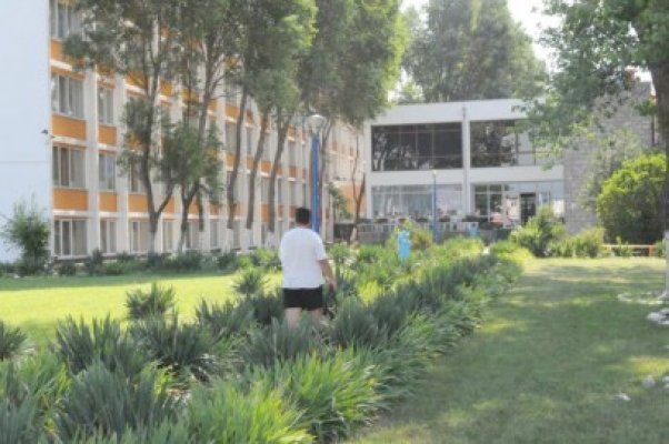 31 de lei, taxa de irigaţii pentru spaţiile verzi din Mamaia